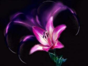 Girly Purple Background HD Wallpaper Background
