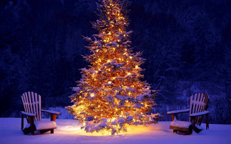 Christmas Tree Macbook Air Wallpaper Allmacwallpaper
