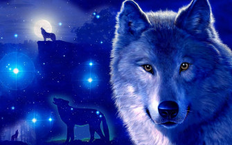 Blue Wolf Wallpaper