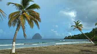 From Martinique Island In The Lesser Antilles Eastern
