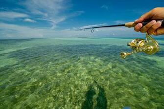 Pin Key West Fishing Guides Professional Guided Trips In