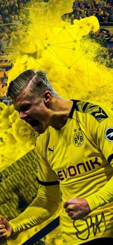 We Need Erling Braut Haaland Bl Zz Tribuna