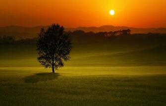 High Resolution Image Collpection Wallpaper