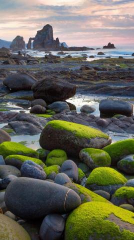 64k Ultra HD Nature Wallpaper Top