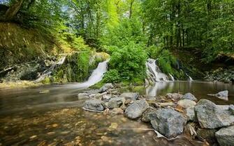 Forest Waterfall And Stones Wallpaper