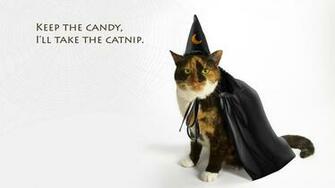 Halloween Cats Photo
