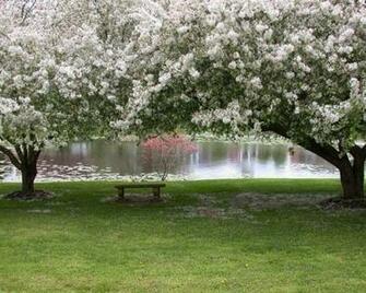 Spring Courtesy Of Desktop Background Net Pixdaus