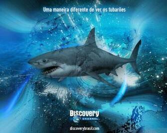Discovery Channel Wallpaper