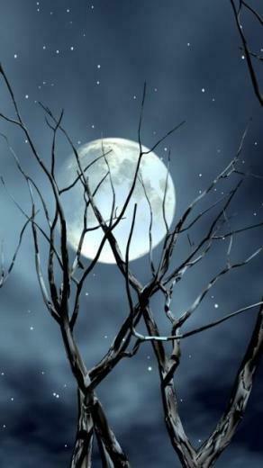Night Moon Nokia Mobile Size Wallpaper Entertainment
