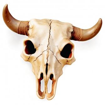 Bull Skull With Sunset Background Png Wallpaper