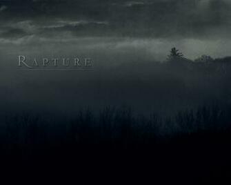 Rapture Discography Videos Mp3 Biography