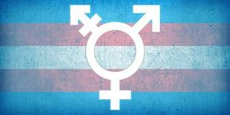 Transgriot Shut Up Fool Awards Trans Awareness Week Edition