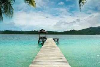 Amazon Wood Bridge Lakeside Photography Backdrop