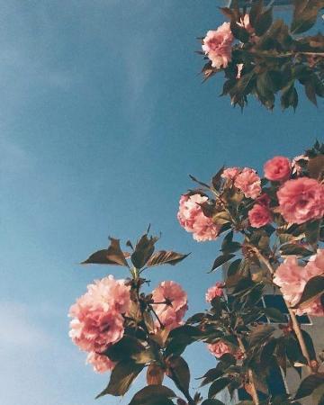Aesthetic Pretty Wallpaper For Chromebooks