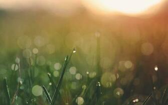 Xubuntu S Xenial Wallpaper Are Exceptionally Beautiful