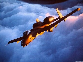Warthog Wallpaper From Votes