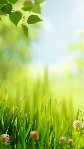 Spring Live Wallpaper Android Apps And Tests Androidpit