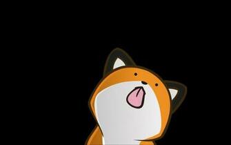 Vector Funny Stupidfox Black Background Foxes Wallpaper Allwallpaper