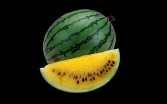 Cloning Melons The Pros And Cons Wallpaper