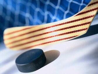 Hockey Stick Nhl Team Wallpaper