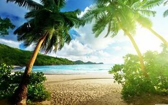 Island Wallpaper And Background Image Net