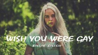 Billie Eilish Wish You Were Gay Lyrics Meaning Laviasco