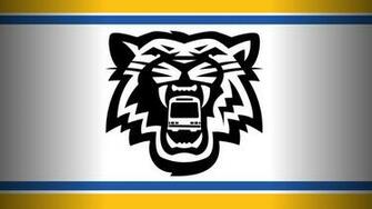 Field Tiger Cats Return Hsr Ticats Desktop Wallpaper Cfl Season