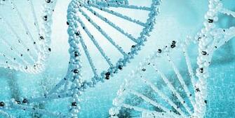 Dna Helix Wallpaper HD