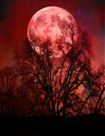 Bloodmoon By Raiyt