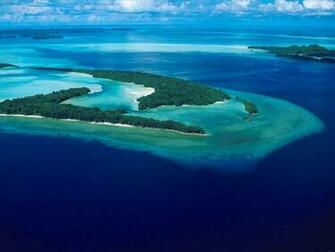 Coral Blue Sea Wallpaper Funny Pictures Image