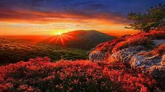 Beautiful Autumn Scenery High Quality And Resolution
