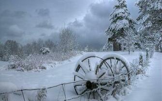 Winter Wallpaper Background