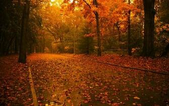 Products Popular Screensavers Wallpaper Desktop Html