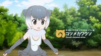 Small Clawed Otter Kemono Friends Wallpaper Zerochan