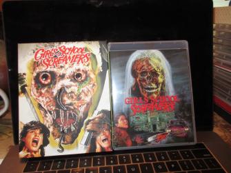 Girls School Screamers Blu Ray Like New Vinegar Syndrome