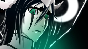 Ulquiorra Cifer Wallpaper
