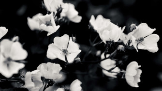 Aesthetic Black Grunge Wallpaper