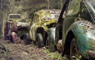 Wallpaper Volkswagen Vw Beetle Classic