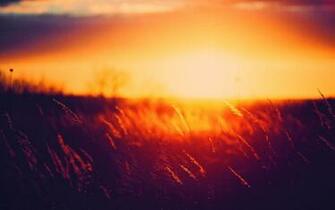 Summer Sunset Wallpaper
