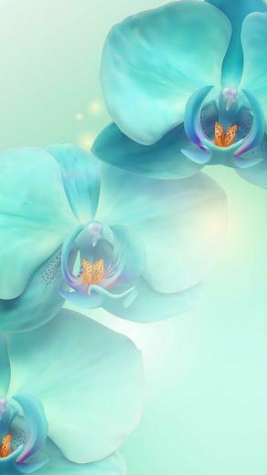 Orqu Deas In Flowery Wallpaper Orchid Flower