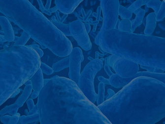Antibiotic Resistance Background Immunogenomics Conference