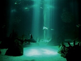 Description Underwater Wallpaper Is A Hi Res For Pc