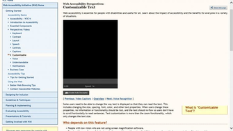 Perspectives All Ie Css And Video Player Bugs Issue