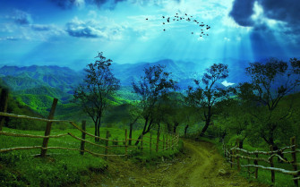 8k Ultra HD Nature Wallpaper