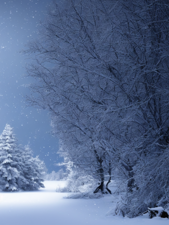 Snow iPhone Wallpaper