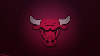Chicago Bulls Wallpaper Pro Sports Background
