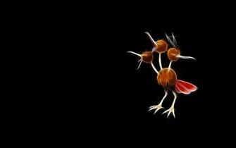 Pokemon Dodrio Wallpaper