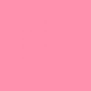 Baker Miller Pink Solid Color Background