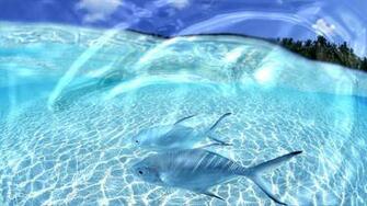 Beautiful World Wallpaper Sea Live For Windows