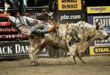 Bull Riding Bullrider Rodeo Western Cowboy Extreme Cow